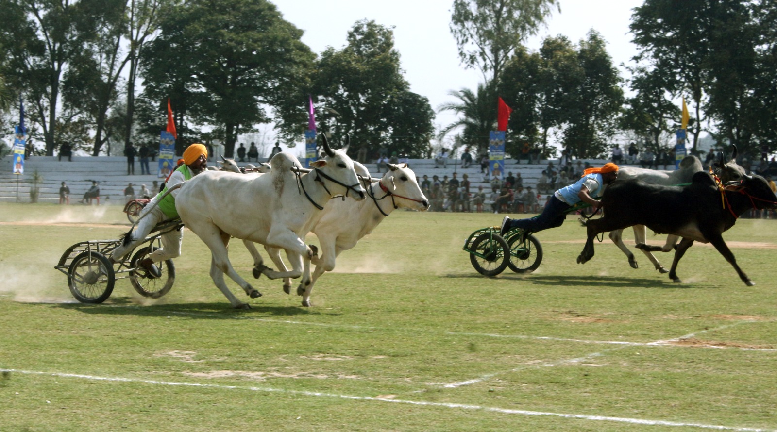 किला रायपुर ग्रामीण ओलंपिक 2026 : 12 साल बाद बैलगाड़ी दौड़ें फिर से शुरू