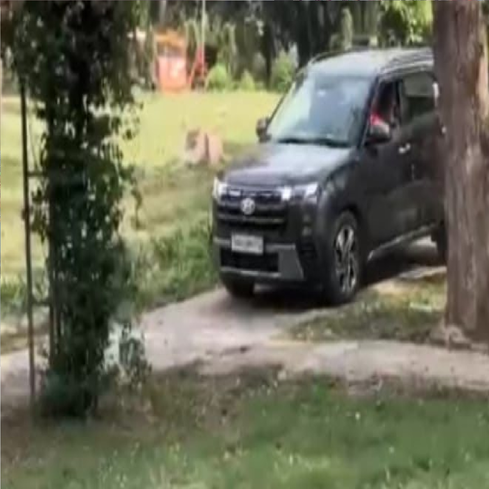 लेजर वैली में स्टंट पड़ा भारी: कोर्ट ने लगाई जुर्माने के साथ सफाई की सजा