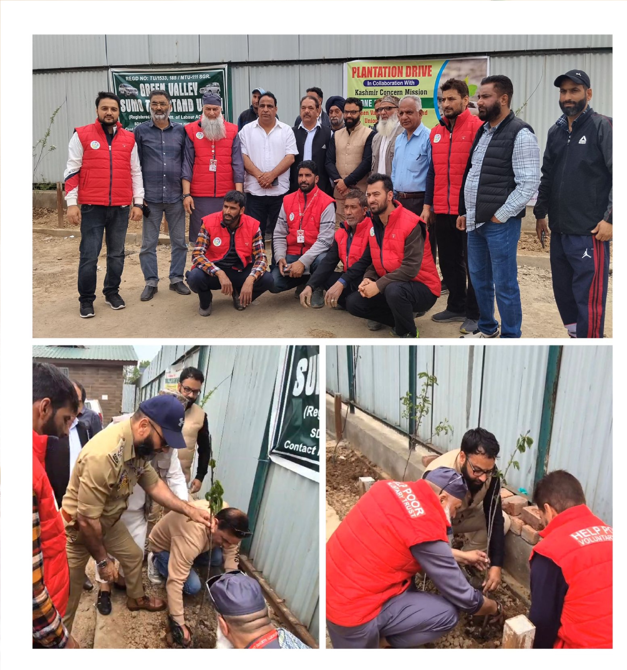 कश्मीर कंसर्न ने ग्रीन वैली सूमो स्टैंड के सहयोग से '10 लाख वृक्ष मिशन' वृक्षारोपण अभियान शुरू किया*