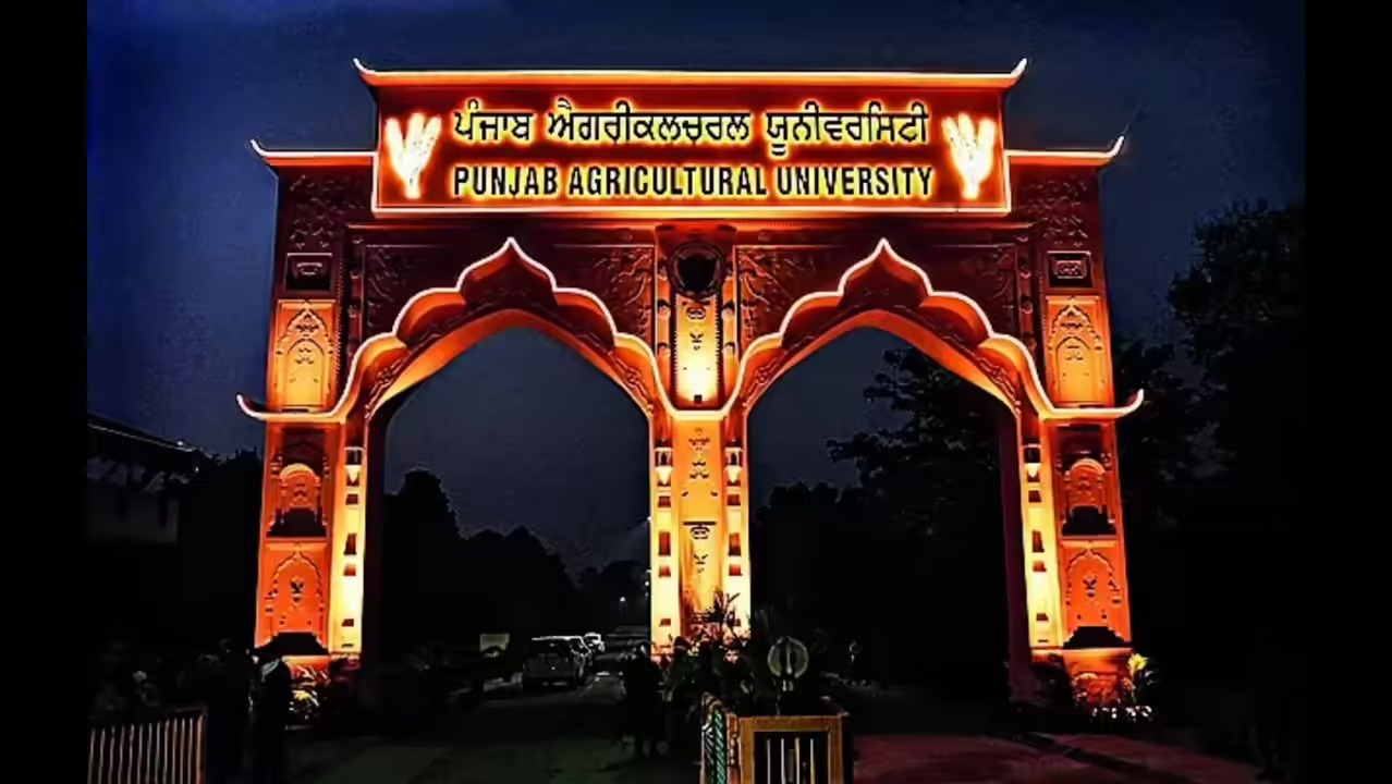 Ludhiana: “मेरिट बनाम पॉलिटिक्स” बहस तेज, PAU नियुक्तियों पर घिरा प्रशासन
