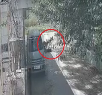 सामान लेने गई बच्ची को नोच-नोचकर खा गए अवारा कुत्ते, अस्पताल पहुंचने पर हुई मौत