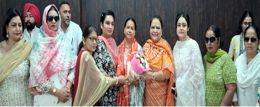 Phagwara: सुमन शर्मा बनीं आम आदमी पार्टी महिला विंग जिला कपूरथला की प्रधान
