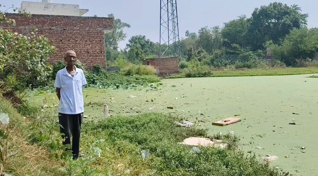 Kurukshetra: कुरुक्षेत्र के विकास नगर की बदहाल तस्वीर, सुविधाओं के लिए अधिकारियों के चक्कर काटने को मजबूर लोग