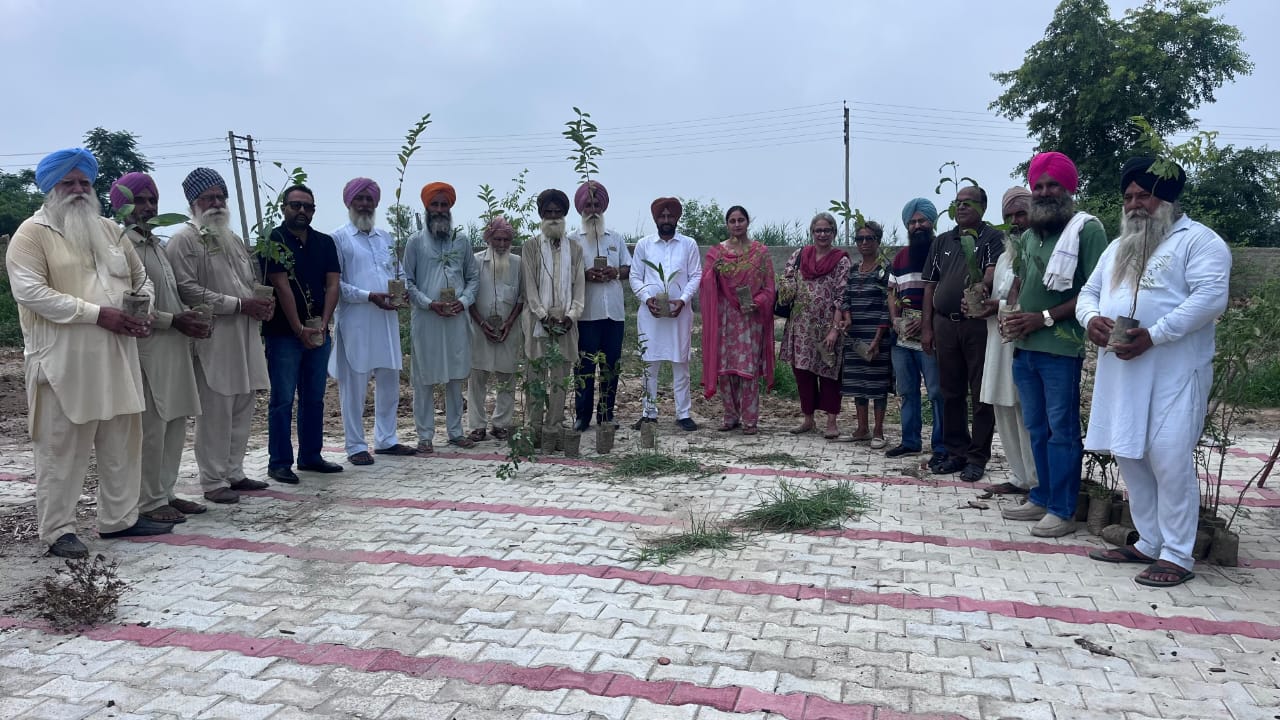 Jagraon: ‘ग्रीन पंजाब’ की ओर कदम, गालिब कलां में पर्यावरण प्रेमियों ने लगाया हरियाली का नया अध्याय