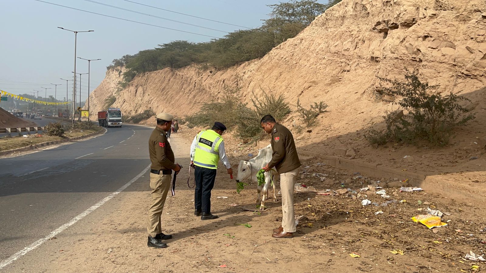 लोहड़ी पर्व पर पंचकूला ट्रैफिक पुलिस ने पशुओ को पहनाई रिफ्लेक्टर बेल्ट, वाहन चालक व लावारिश पशु होंगे महफूज