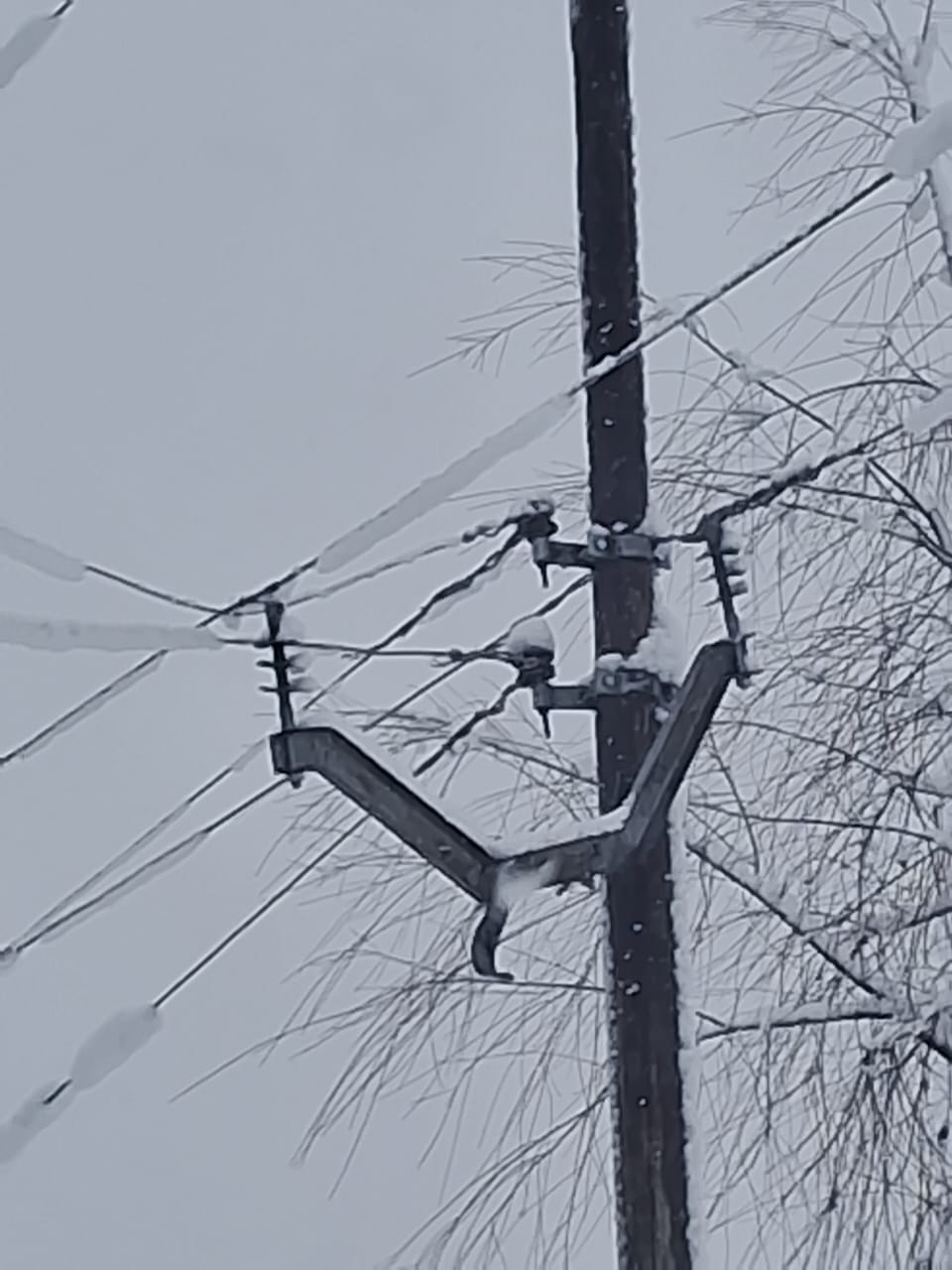 श्रीनगर एयरपोर्ट पर आज 23 Jan सभी उड़ानें रद्द