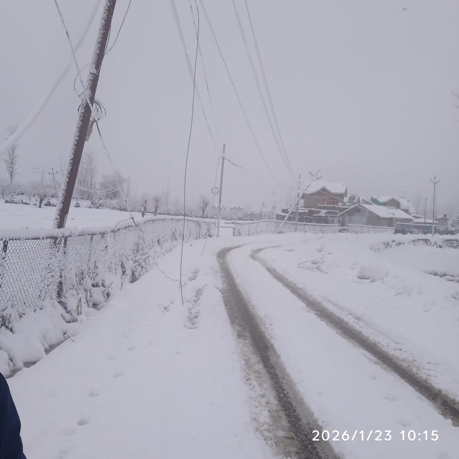 श्रीनगर एयरपोर्ट पर आज 23 Jan सभी उड़ानें रद्द