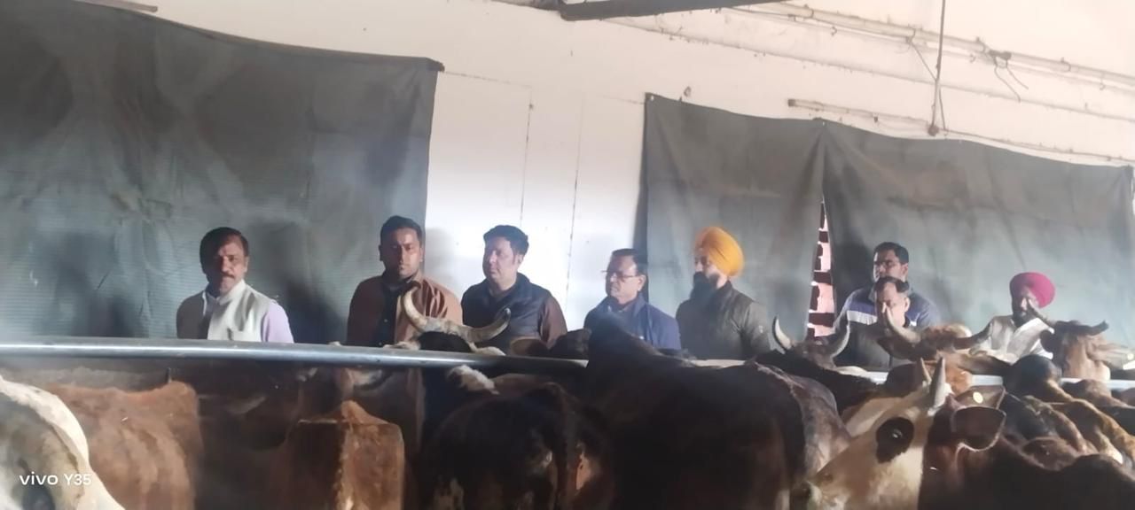 मलोया गौशाला का निरीक्षण: गौ कल्याण समिति ने व्यवस्थाओं की समीक्षा की, सुधारों की सराहना