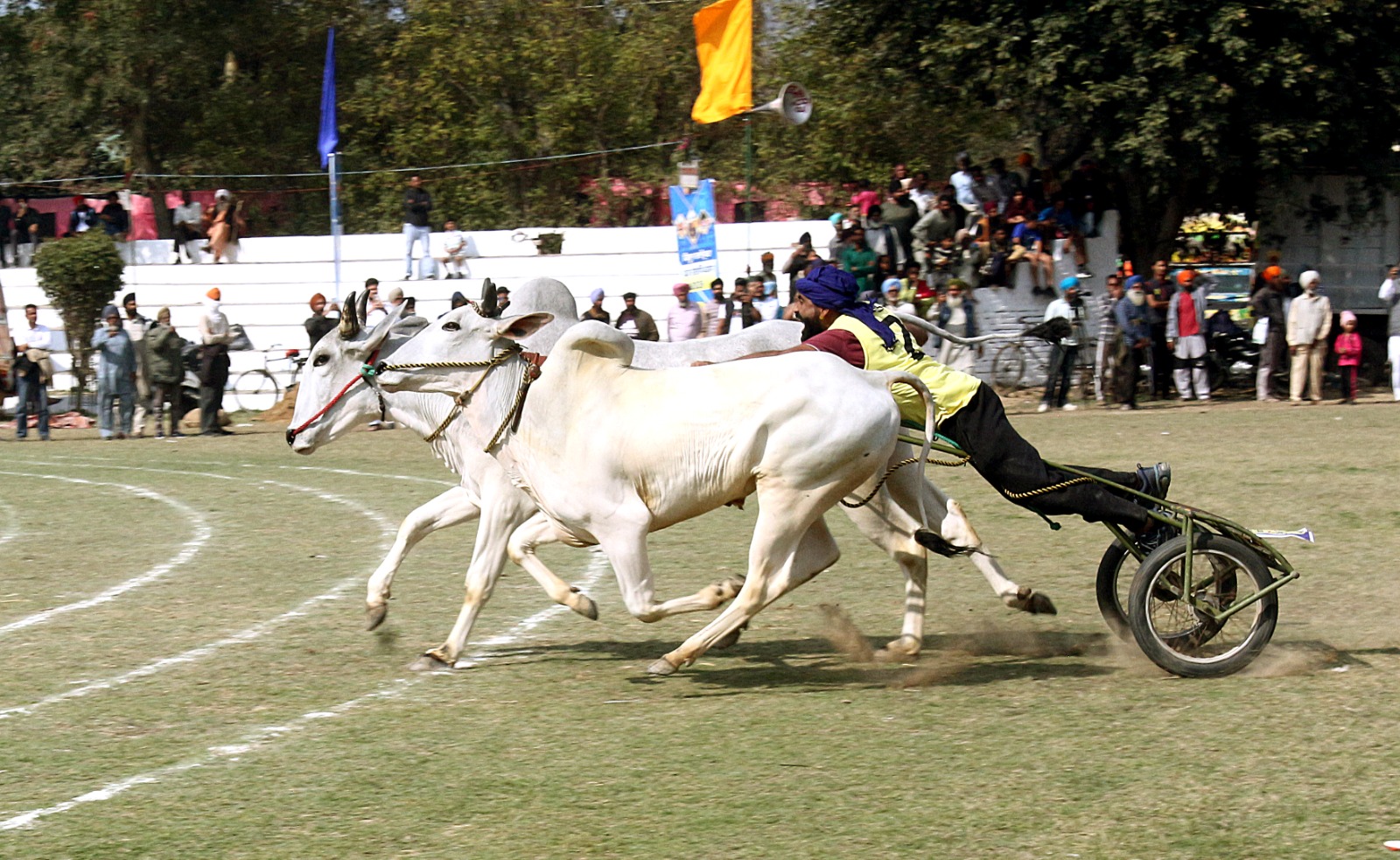 किला रायपुर ग्रामीण ओलंपिक 2026 : 12 साल बाद बैलगाड़ी दौड़ें फिर से शुरू