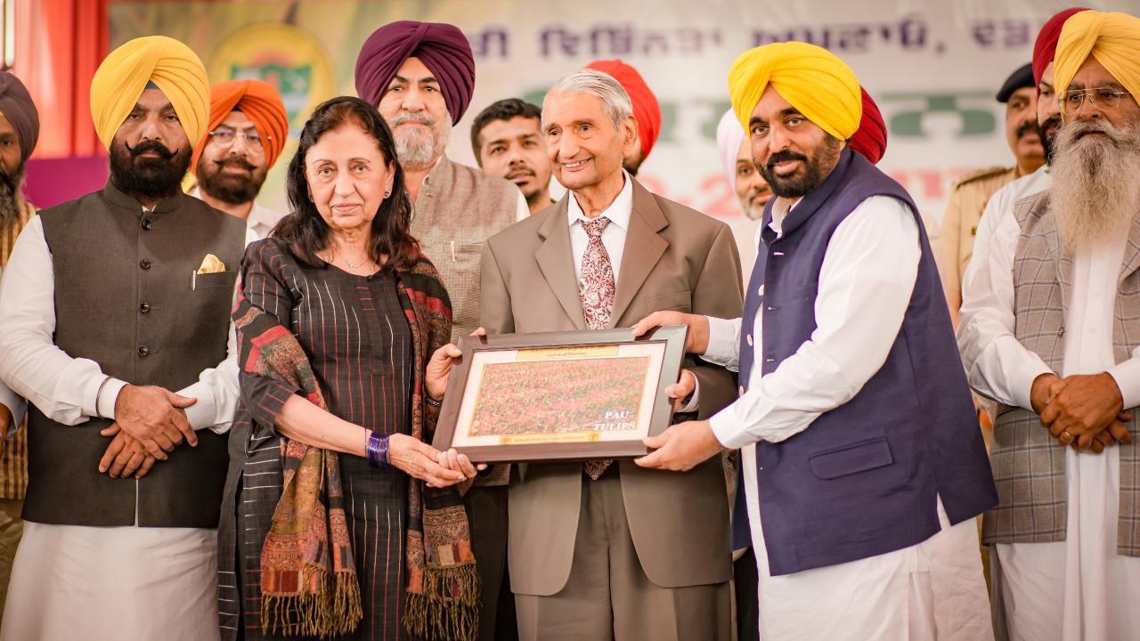 भगवंत मान सरकार की अगुवाई में ‘एआई क्रांति’ किसानों की आय बढ़ाकर पंजाब के भविष्य को सुरक्षित करेगी