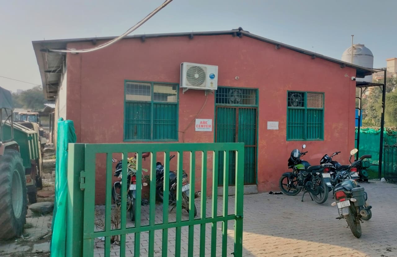 आवारा कुत्तों पर नियंत्रण का प्रोजेक्ट विवादों में, नगर परिषद और संस्था आमने-सामने